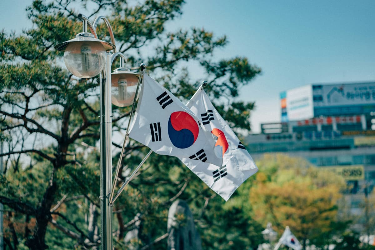 Professional Airport Transfers Across South Korea